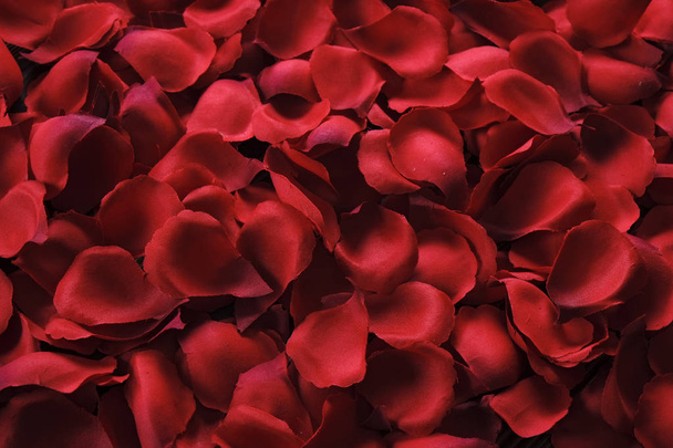 Beautiful bright red rose petals on wooden background. Happy valentines day oliday sales concept. - Фото, изображение