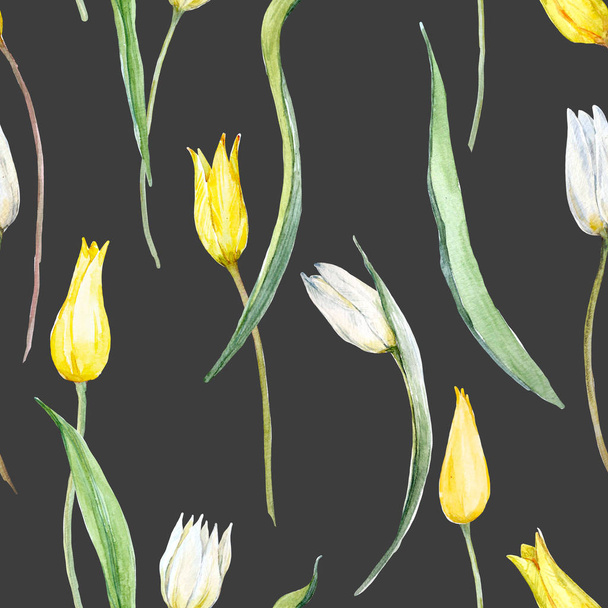 Watercolor tulip pattern - Φωτογραφία, εικόνα