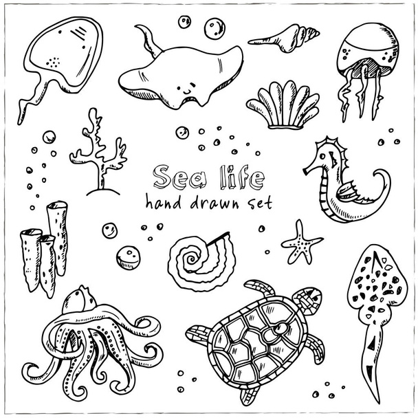 Hand drawn doodle sea life set. - Вектор,изображение
