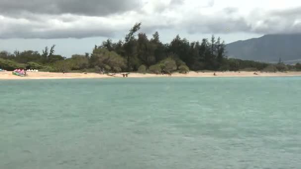 Wind Surfers in Kahalui Maui - Time Lapse - Кадры, видео