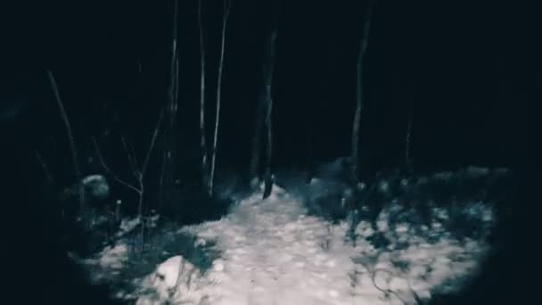 POV victim runs away from the maniac in the woods - Materiał filmowy, wideo