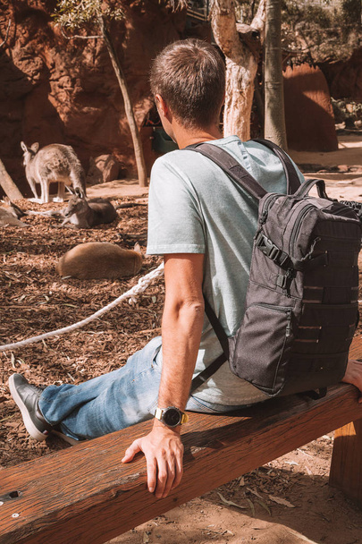 10 de maio de 2017. Sydney, Austrália. Zoológico. Jovem sentado no parque admirando Canguru descansando no chão
. - Foto, Imagem