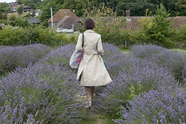 field of lavender at Mayfield Lavender farm on the Surrey Downs. Selective focus. Selective focus. Woman in beautiful cloak from back to field - Fotoğraf, Görsel