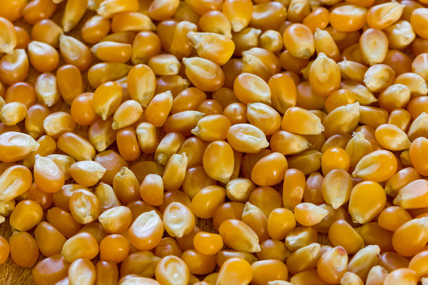 Corn for popcorn - Fotoğraf, Görsel