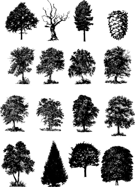Vector illustration of trees black silhouettes - Вектор,изображение