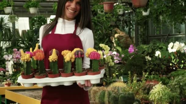 junge Leute, die als Floristin in einem Blumenladen arbeiten und Blumen und Pflanzen verkaufen. Glückliche Selbstständige bei der Arbeit im Blumenladen, lächelnd in die Kamera. Mädchen als Kleinunternehmerin im Gewächshaus - Filmmaterial, Video