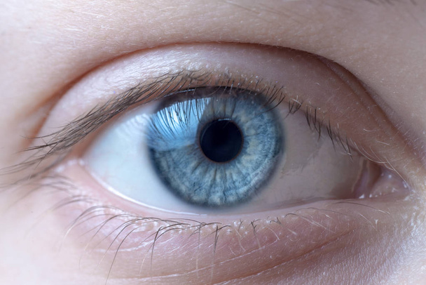makro obrázek modré lidské oko - Fotografie, Obrázek