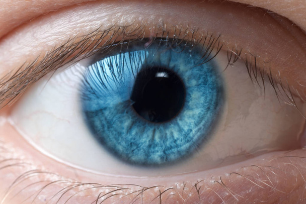 カメラを直接見て人間のブルーの目のマクロ画像 - 写真・画像