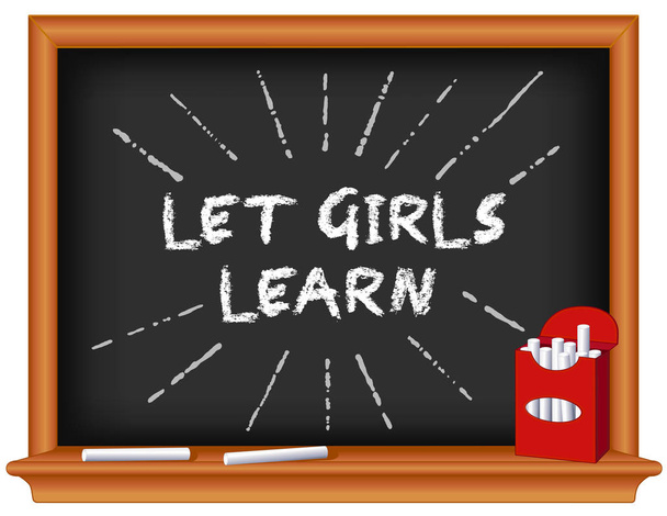Laat meisjes leren! Ondersteuning voor school, geletterdheid en onderwijs kansen voor vrouwelijke studenten wereldwijd. Doos met schoolbord achtergrond, krijt. - Vector, afbeelding