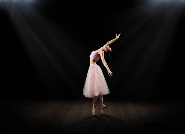 Ballerina (in interior version) - Foto, Imagem