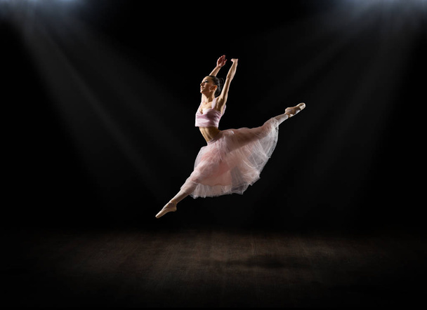 Ballerina (in interior version) - Fotoğraf, Görsel