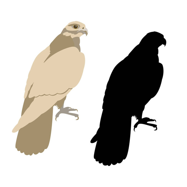águila silueta negraevector ilustración perfil de estilo plano
  - Vector, imagen