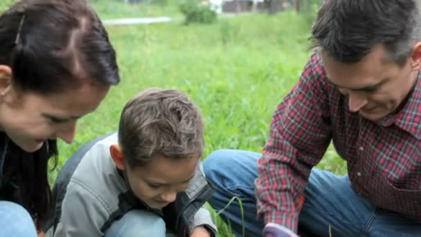 Familienpflanzung sprießt - Filmmaterial, Video