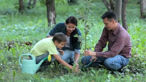Familie pflanzt neuen Baum - Filmmaterial, Video