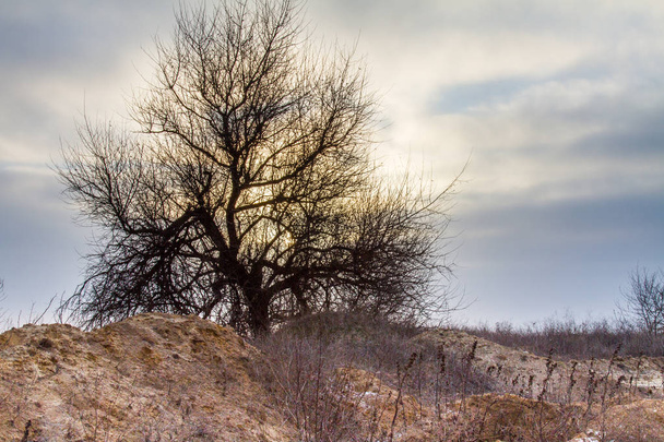 Таврическая степь у Азовского моря. Запорожская область, Украина. Январь 2017
 - Фото, изображение