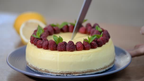 Házi New York-i sajttorta torta állni a díszített, friss bogyós gyümölcsök - Felvétel, videó