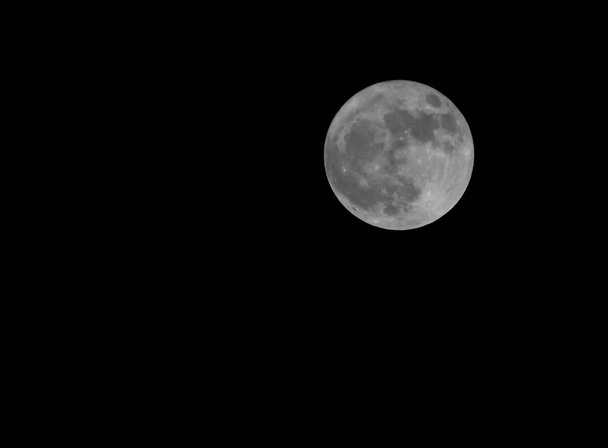 grote volle maan in het midden van de zwarte lucht in de winter - Foto, afbeelding