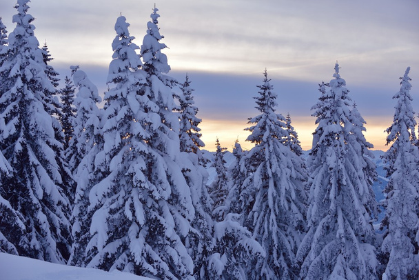 mountain winter landscape - Foto, immagini