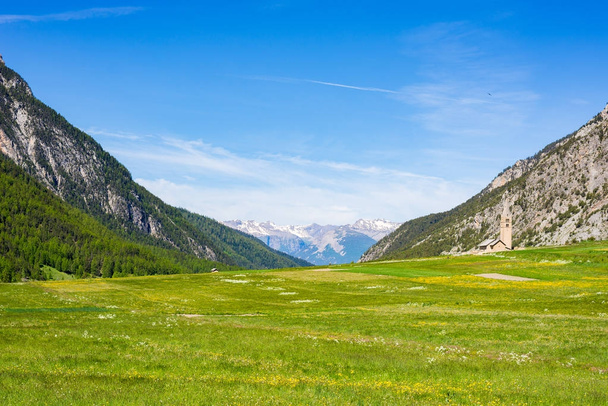 Summer in the Alps. Blooming alpine meadow and lush green woodland set amid high altitude mountain range. - Photo, Image