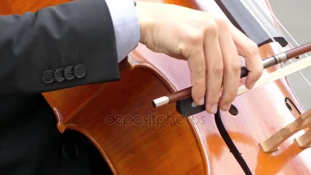 Muzykiem w strój odgrywa wiolonczeli zbliżenie. Wiolonczela lub wiolonczelę jest ukłonił się i czasami oskubane, instrument strunowy z cztery struny strojone w kwintach - Materiał filmowy, wideo
