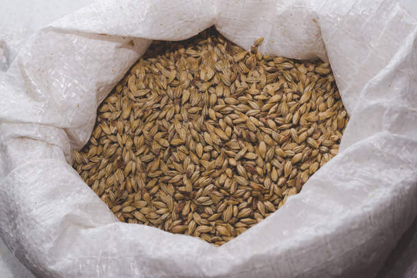 Caramel malt in a bag. Craft beer brewing from grain barley pale - Фото, зображення