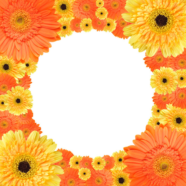 オレンジと黄色のデイジーの円形フレーム - 写真・画像