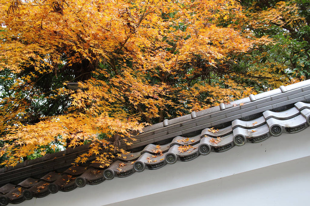 il tempio di Chion nel complesso Kyoto
 - Foto, immagini