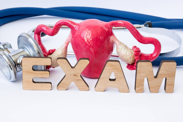 Gynecological examination or exam in gynecology concept. Model of uterus with ovaries is near stethoscope and word exam composed of volumetric 3D letters. Exam in medical practice of gynecologist - Photo, Image