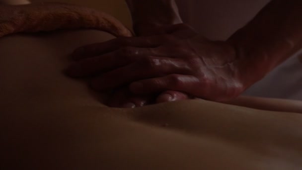 Ayurveda concetto di massaggio. Bella giovane donna reciving Relxing Massaggio di lombata da Massaggiatore Professionale, Massaggio Abyanga
. - Filmati, video