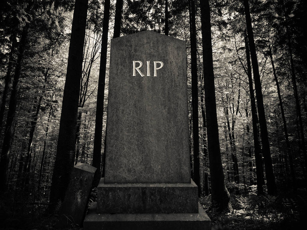 Страшный лесной надгробие
 - Фото, изображение