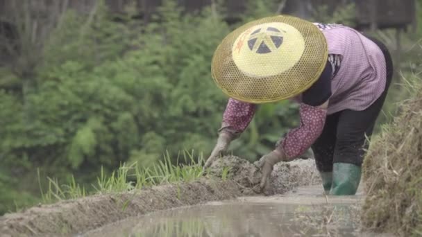 Bäuerin mit typischem Bauernhut - Filmmaterial, Video