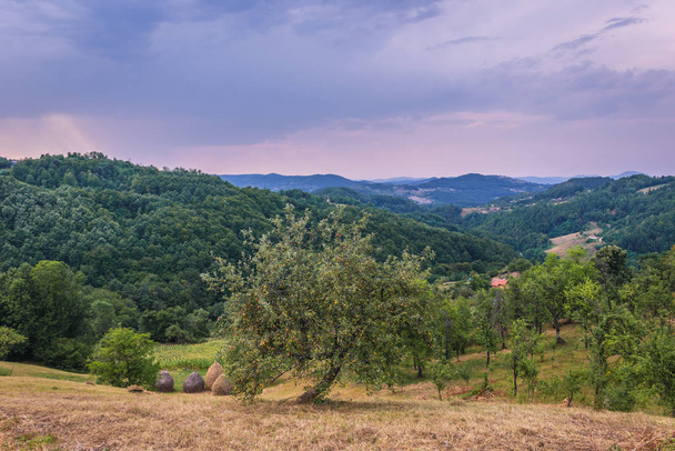 中央セルビアの風景 - 写真・画像