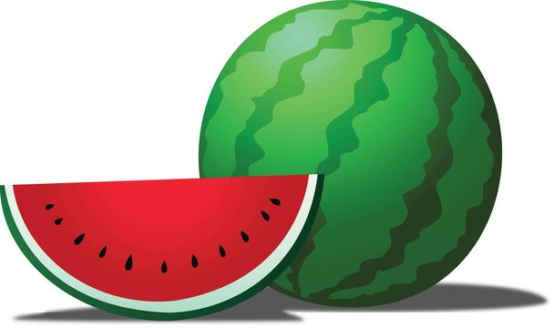 Wassermelone ist eine tropische Frucht - Vektor, Bild