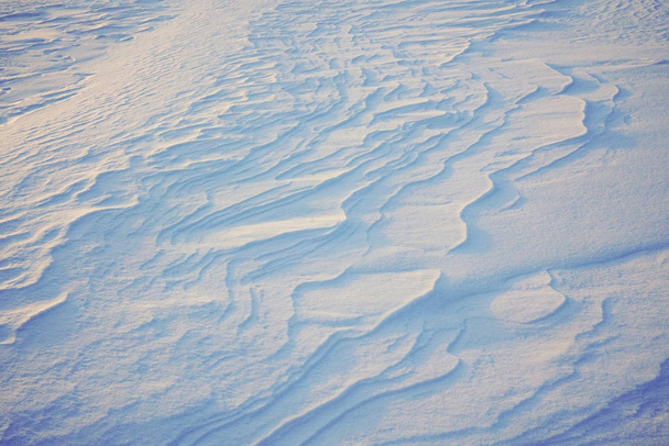 sneeuwveld in de winter - Foto, afbeelding