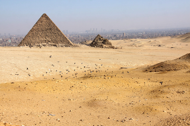 pyramidy v Gíze - Fotografie, Obrázek