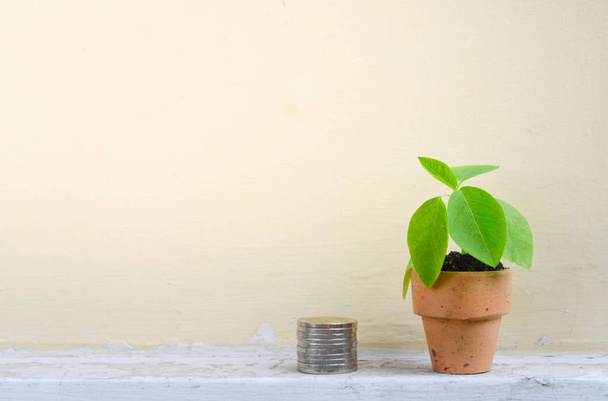 Растущие плантации и стопка монет для экономии денег
 - Фото, изображение