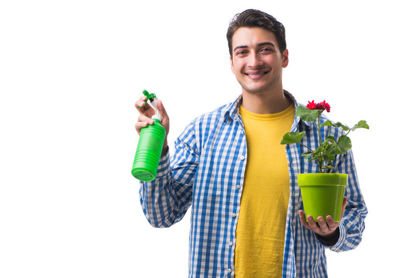 Young man with flower pot isolated on white - Photo, Image