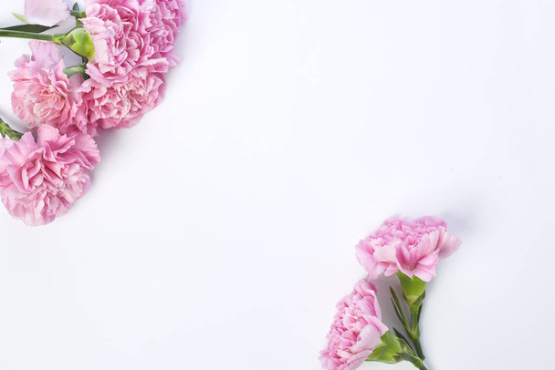 Růžové karafiáty květina pro den matek na bílém pozadí - Fotografie, Obrázek