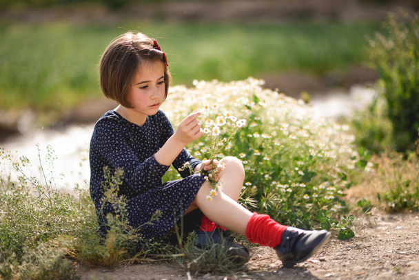 Little girl sitting in nature field wearing beautiful dress - Zdjęcie, obraz