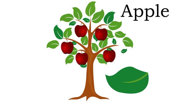 Elément vectoriel Apple Trees. vecteur vert
 - Vecteur, image