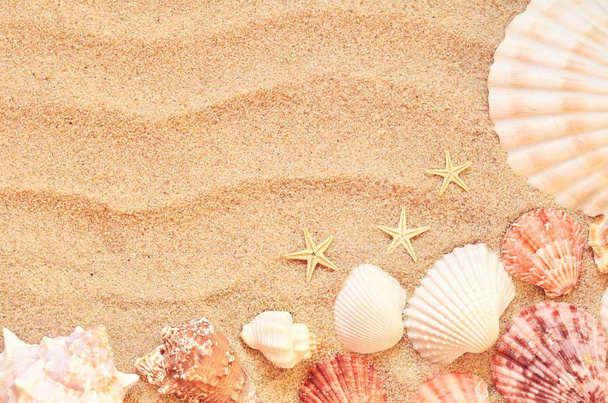 sea shells with sand as background - Fotoğraf, Görsel