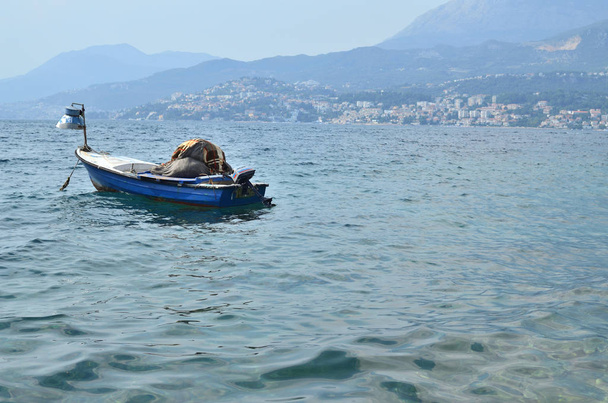 Deniz teknede balık - Fotoğraf, Görsel