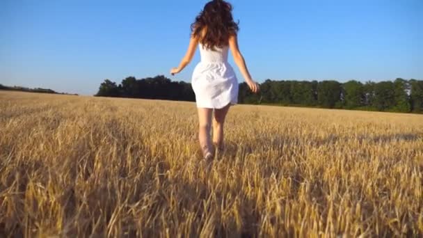 folgen einem jungen Mädchen, das unter blauem Himmel über das Feld läuft. Frau im Kleid joggt auf der Wiese und genießt die Freiheit. Rückseite Zeitlupe - Filmmaterial, Video