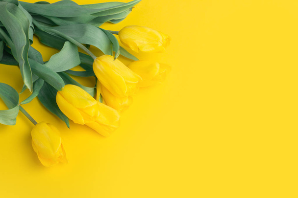 Bouquet of tulips in color background - Photo, image