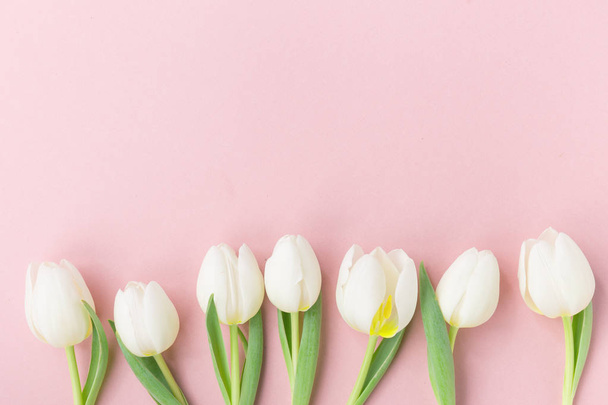 White tulips on pink background - Foto, Imagem