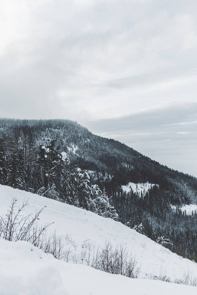 Besneeuwde mistige berg - Foto, afbeelding