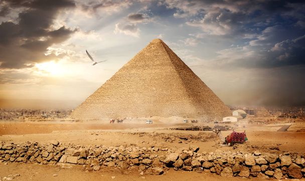 Duży ptak nad piramidy - Zdjęcie, obraz
