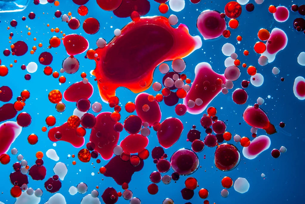 Punasolujen kuplat sinisellä pohjalla lähikuva. Lääketieteen ja tieteen abstraktio. Mikroprosessien ja sairauksien käsite ihmiskehossa
 - Valokuva, kuva