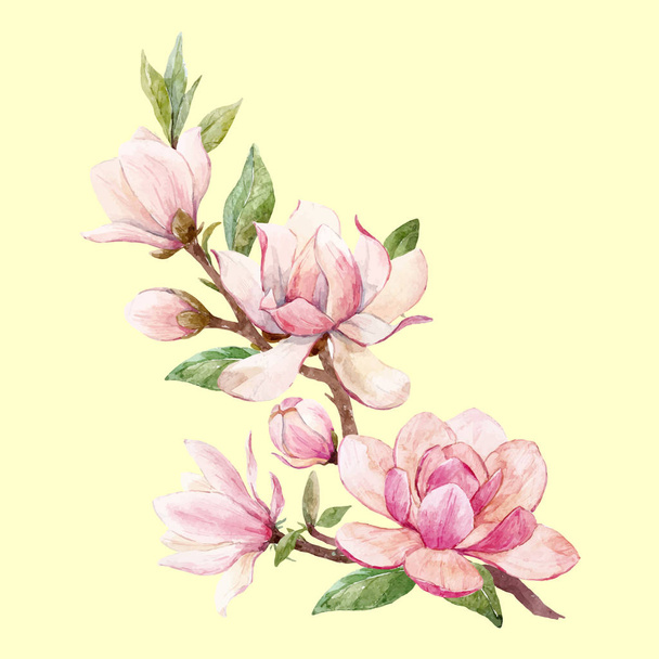 Watercolor magnolia floral vector composition - Vetor, Imagem
