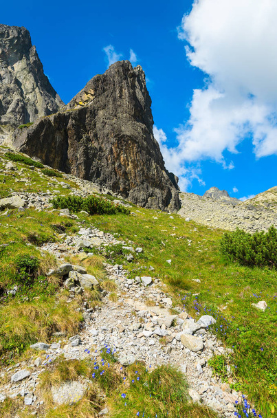 Summer landscape of Tatra Mountains in 5 lakes valley, Slovakia - Foto, Imagem